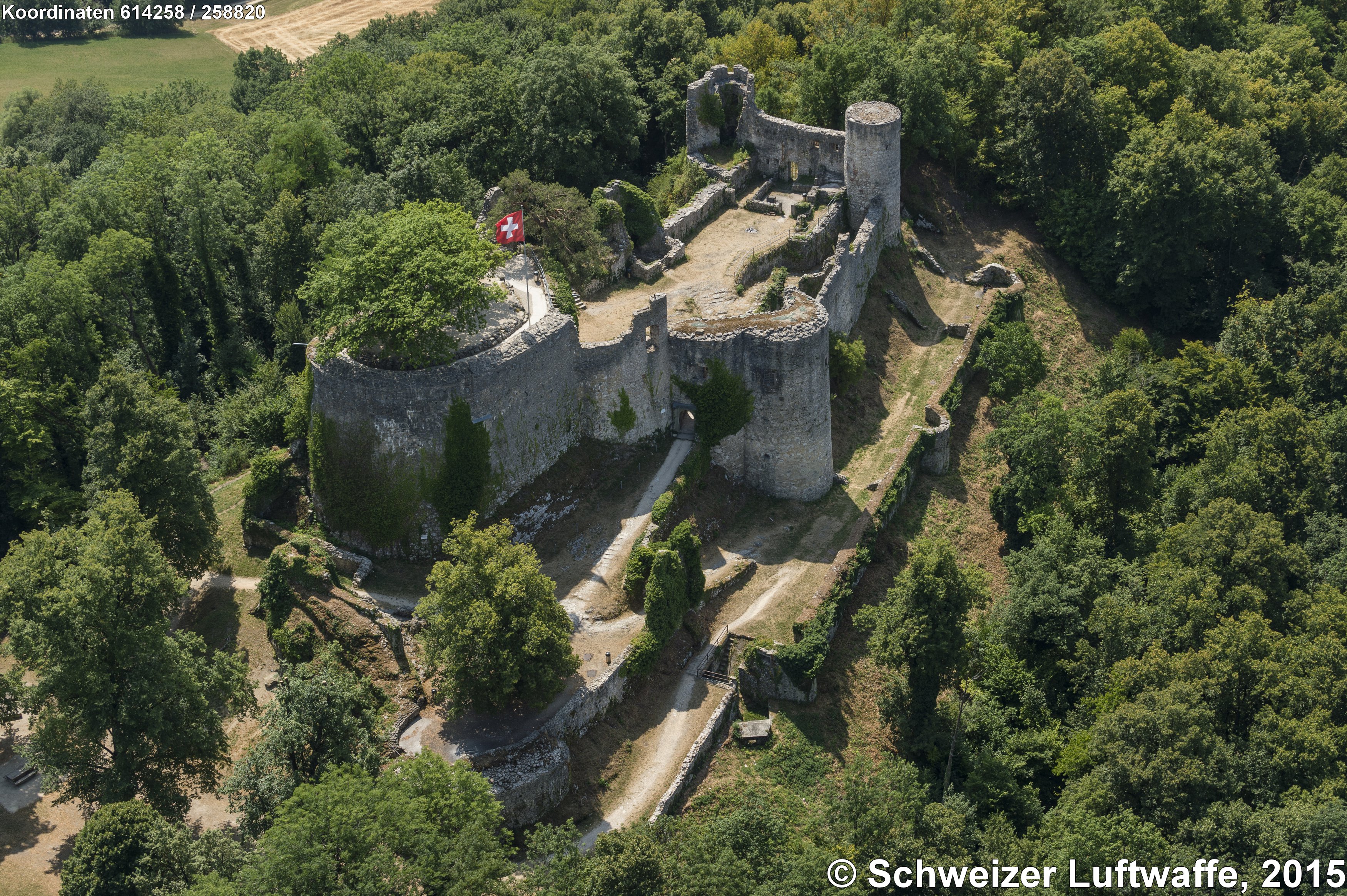 Burg - Ruine Dorneck Dornach