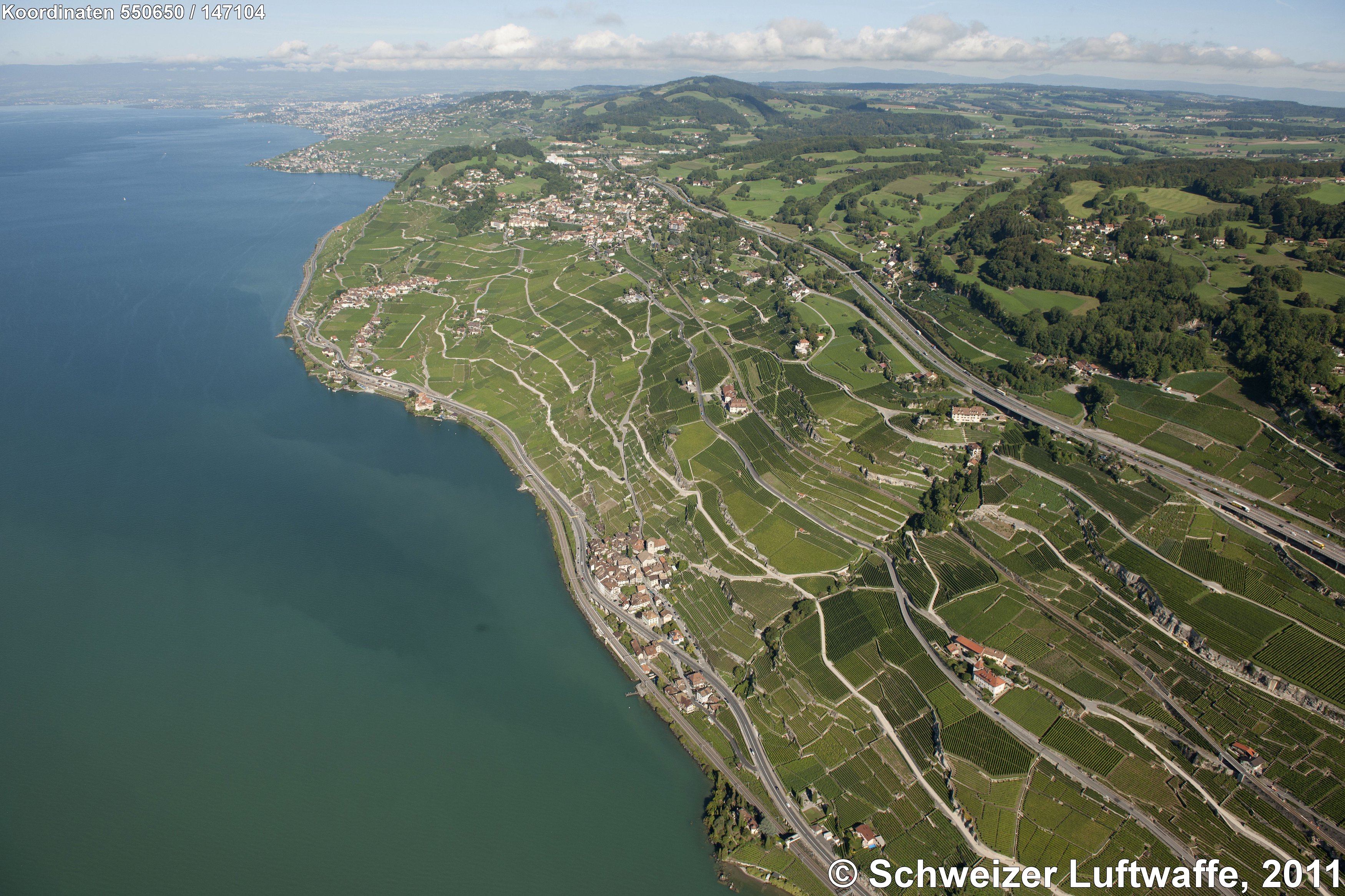Rebberge der Region 
