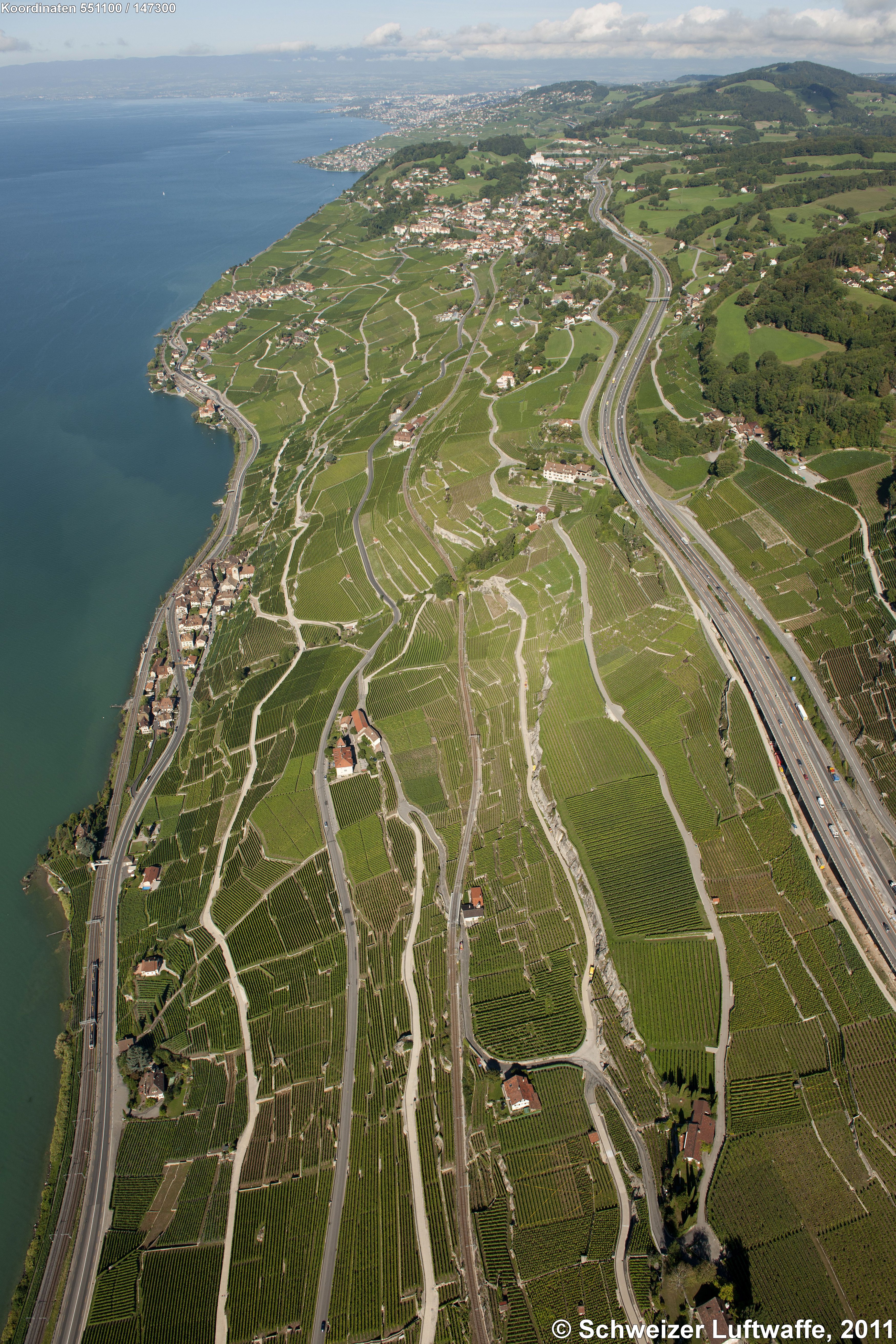 Rebberge der Region 